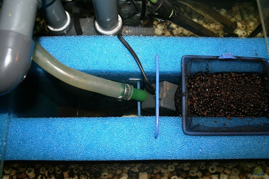 HamburgMatten Filters Equipment & DIY Shrimp Keepers Forum