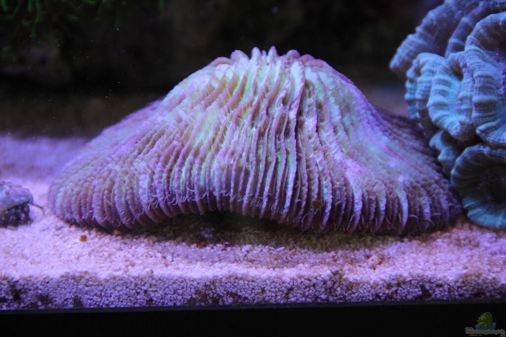 Example No 26668 from the category salt water