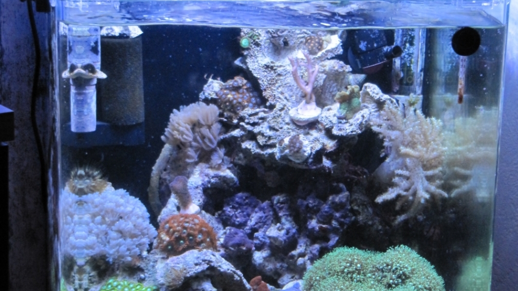 Aquarium --Littel Ozean--