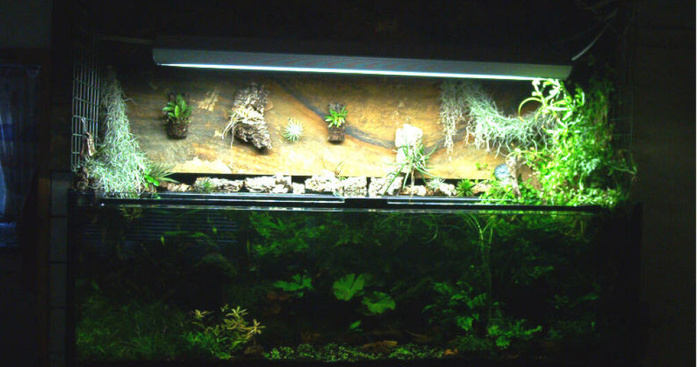Example No 1011 From The Community Tanks - Diy Aquarium Decorations Reddit
