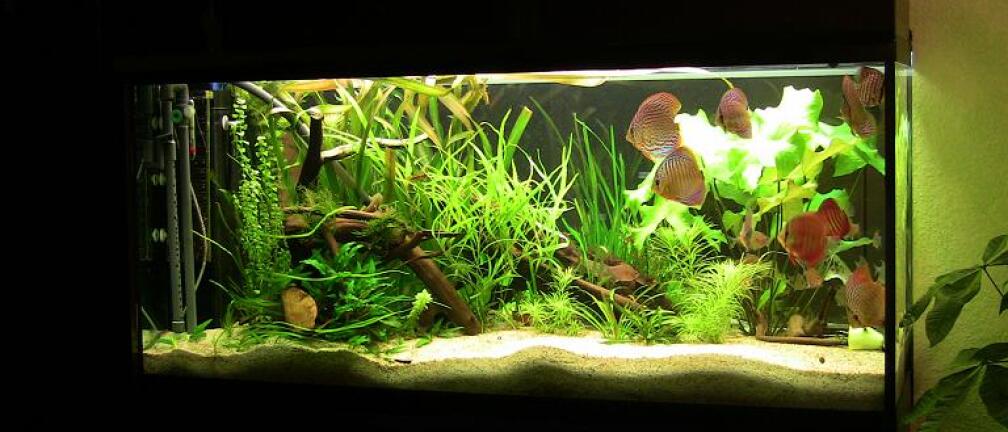 Blick vom Eingangsbereich