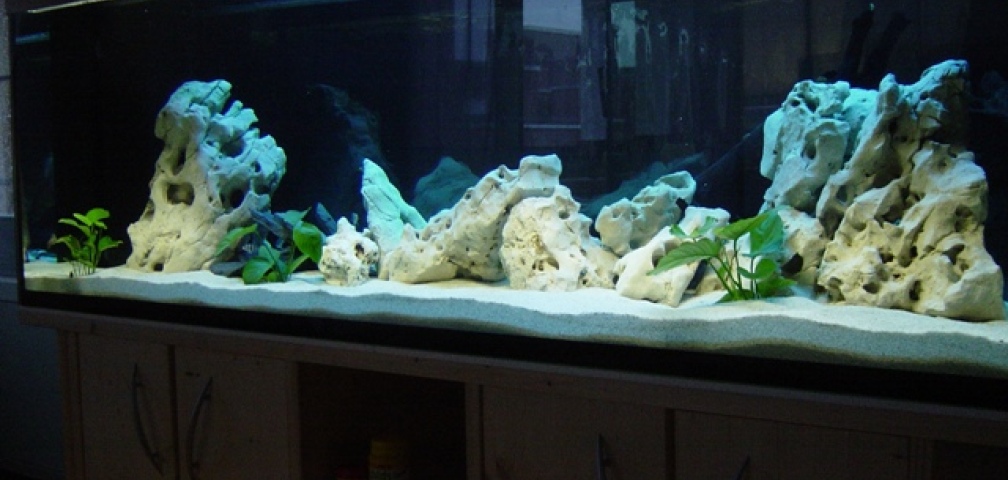 Aquarium Hauptansicht von Becken 1037