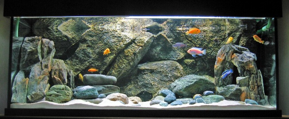 Malawibecken 130x50x50 325 Ltr.