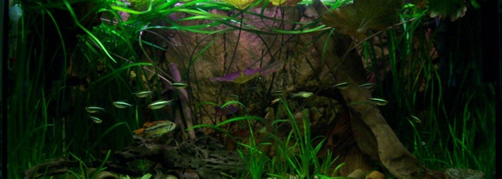 [08.02.10]Frontansicht