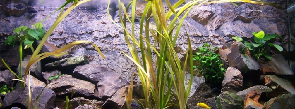 mein kleiner granitpalast ;)