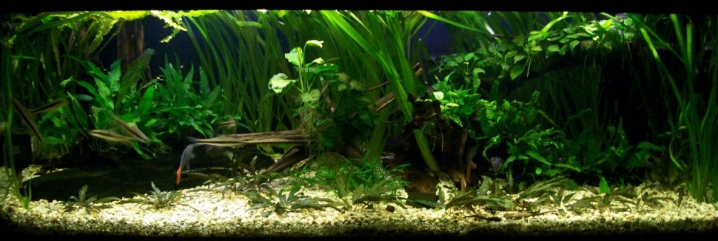 Frontansicht_10.09.10