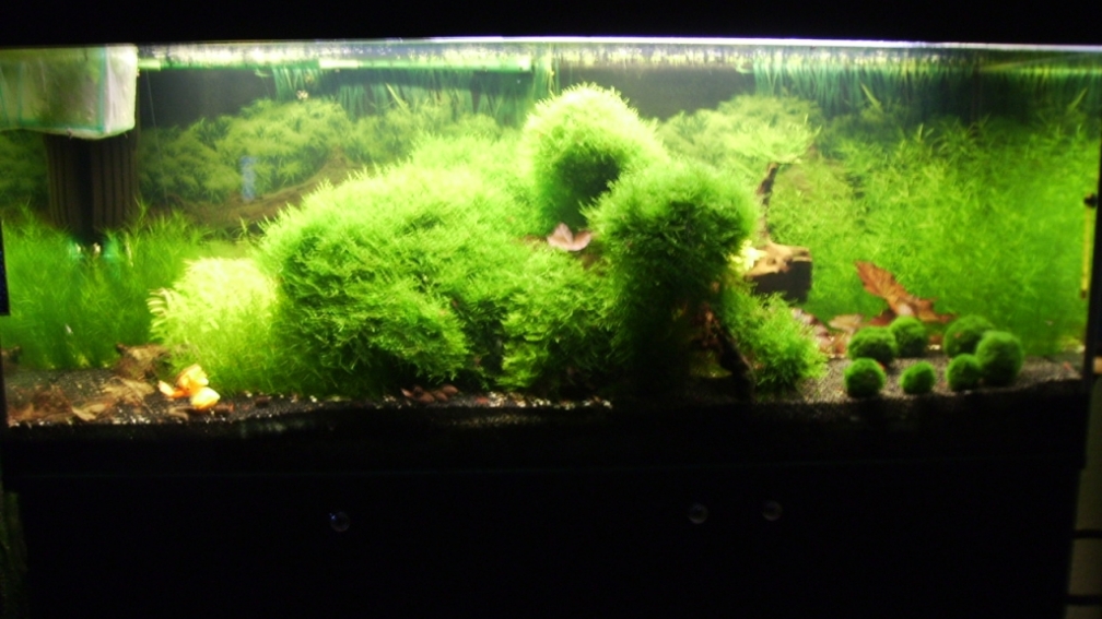 Meine Erholungsoase nach der Umgestaltung