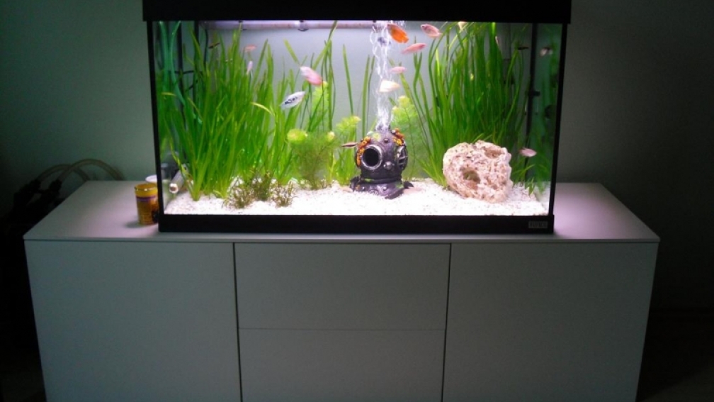Aquarium Hauptansicht von Fluval