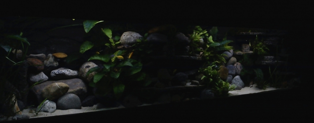 Aquarium Hauptansicht von Atlantis