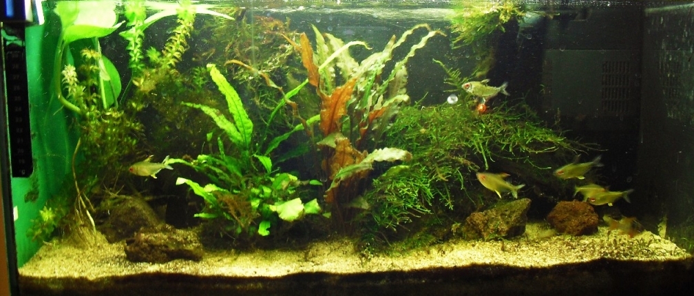 Aquarium Hauptansicht von Amazon Inspire