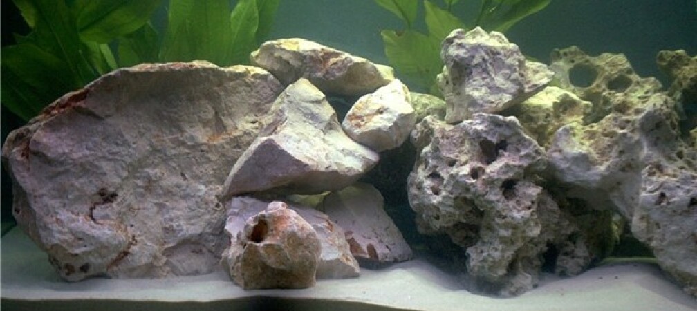 Aquarium Hauptansicht von Becken 1430