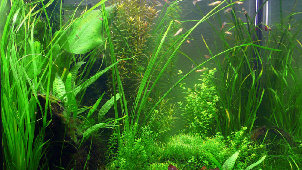 03.12.2009 Frontansicht