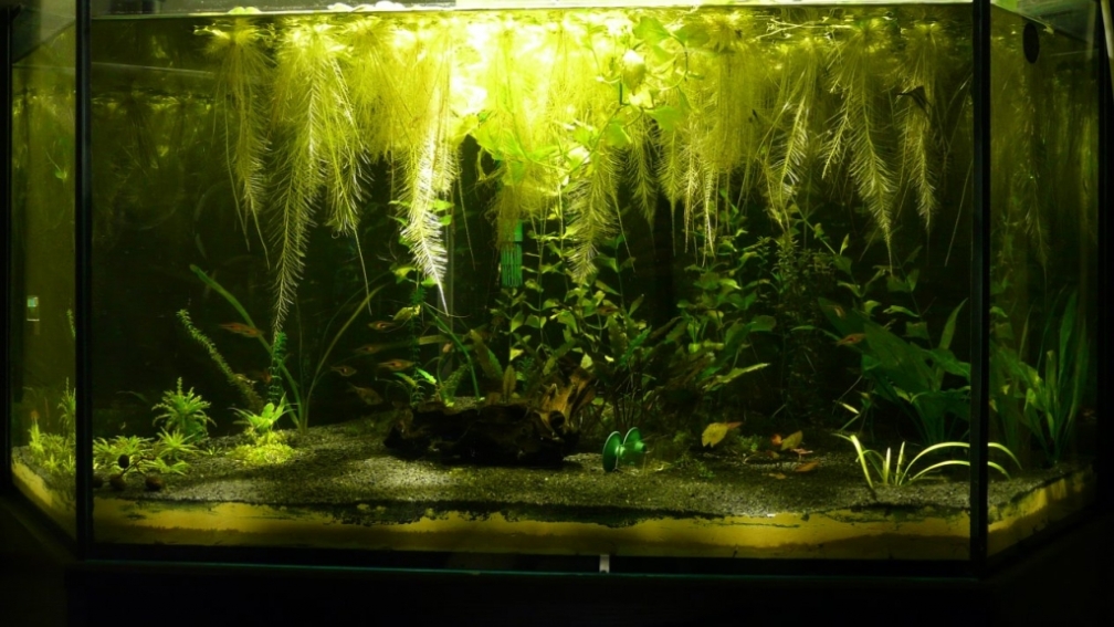 Aktuelles Foto vom 27.11.09