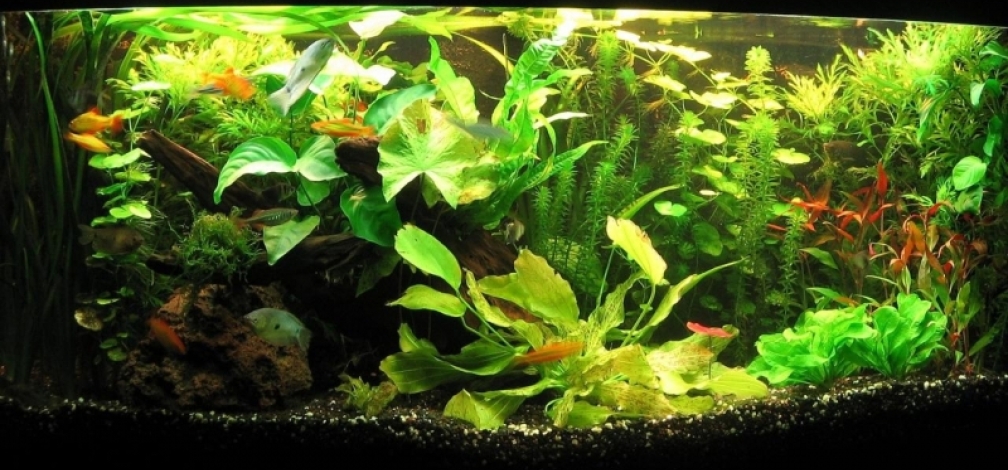 06.09.2009 Frontansicht