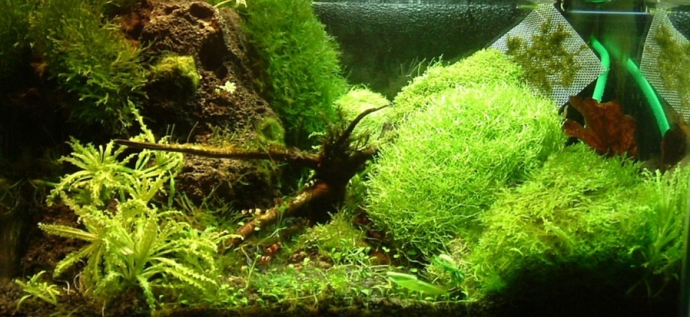 Aktuellstes Bild (stand 11.11.)