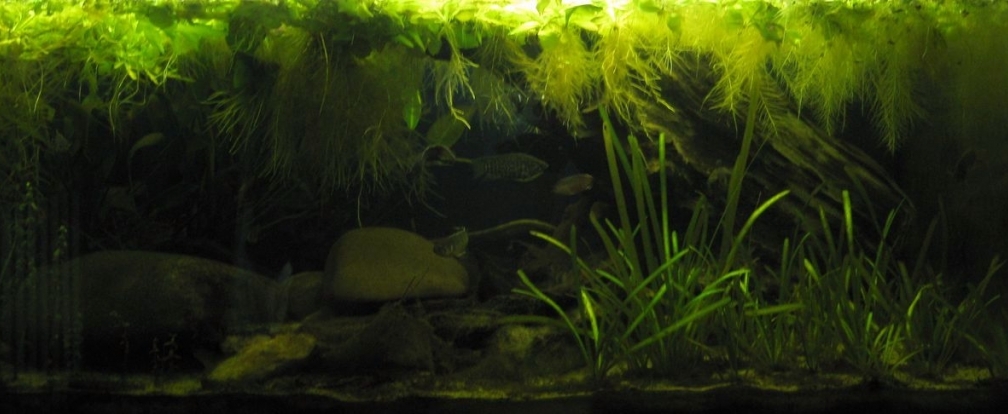 Gesamtansicht 20.02.2010