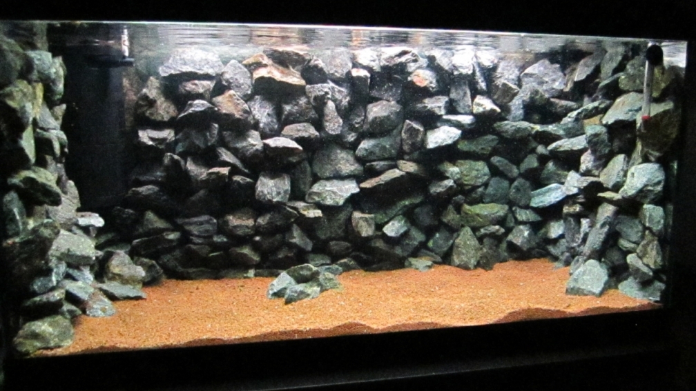 Aquarium Hauptansicht von Baby Home Malawi