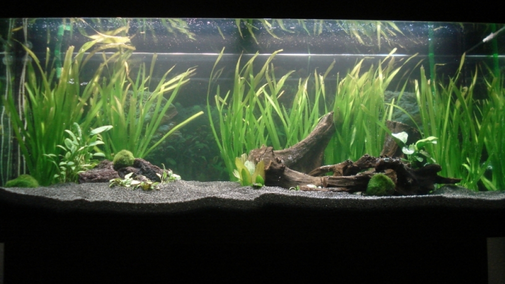 Bild am Abend der Neueinrichtung am 12.11.09