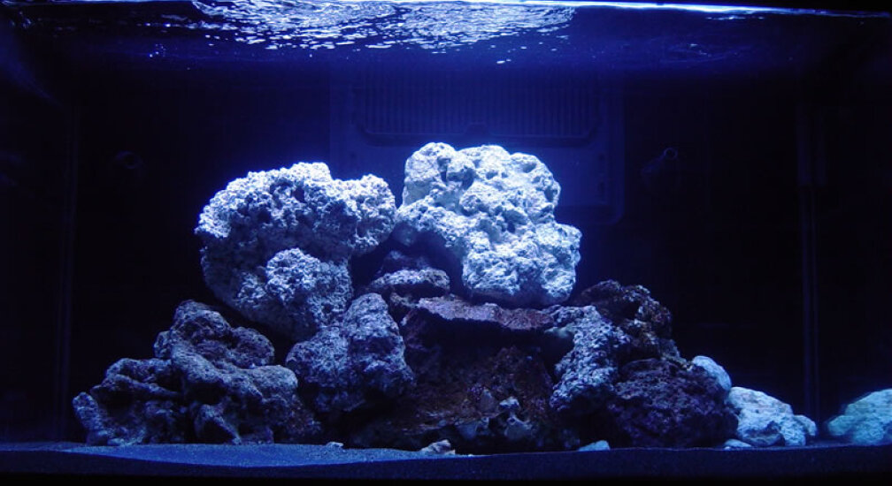 Aquarium Hauptansicht von A Piece of Reef Obsolete