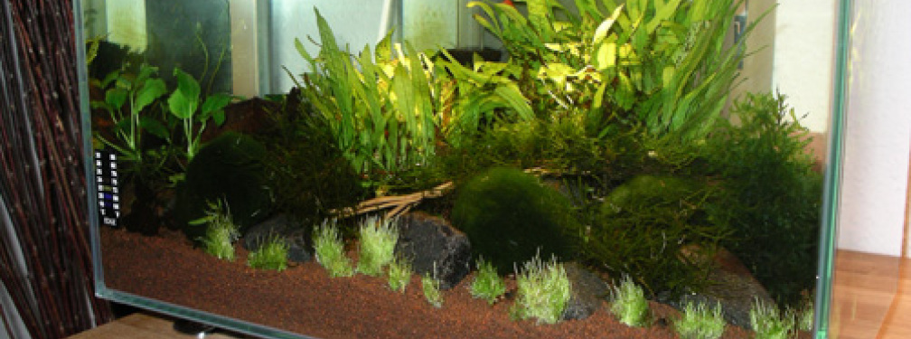 Februar_10 Februar_10