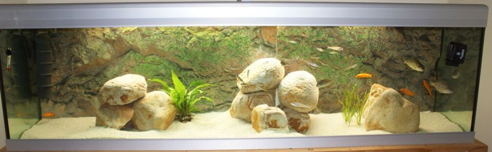 Mein Lieblingsplatz im Wohnzimmer - mit neuem Gestein