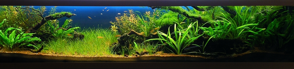 10.11.2010 - ca. 6 Wochen nach dem Umzug