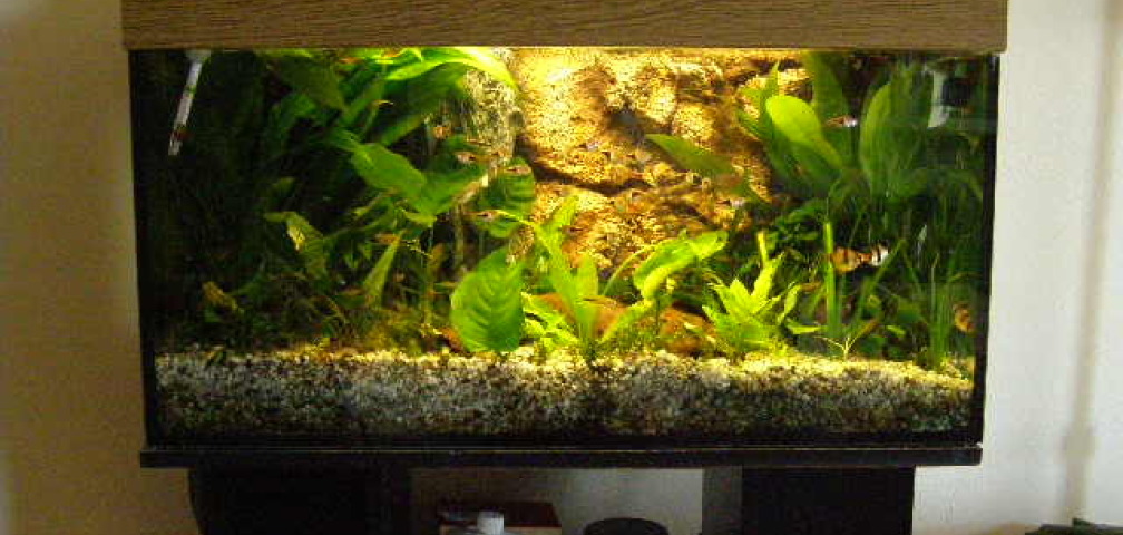 Mein gesamtes Becken