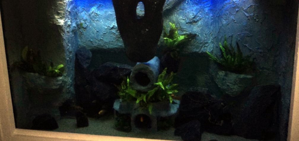 Becken am 29.01.2012