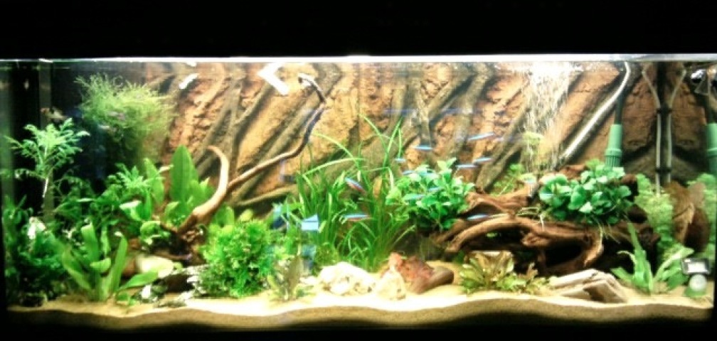 Frontansicht 14 Tage nach Ersteinrichtung