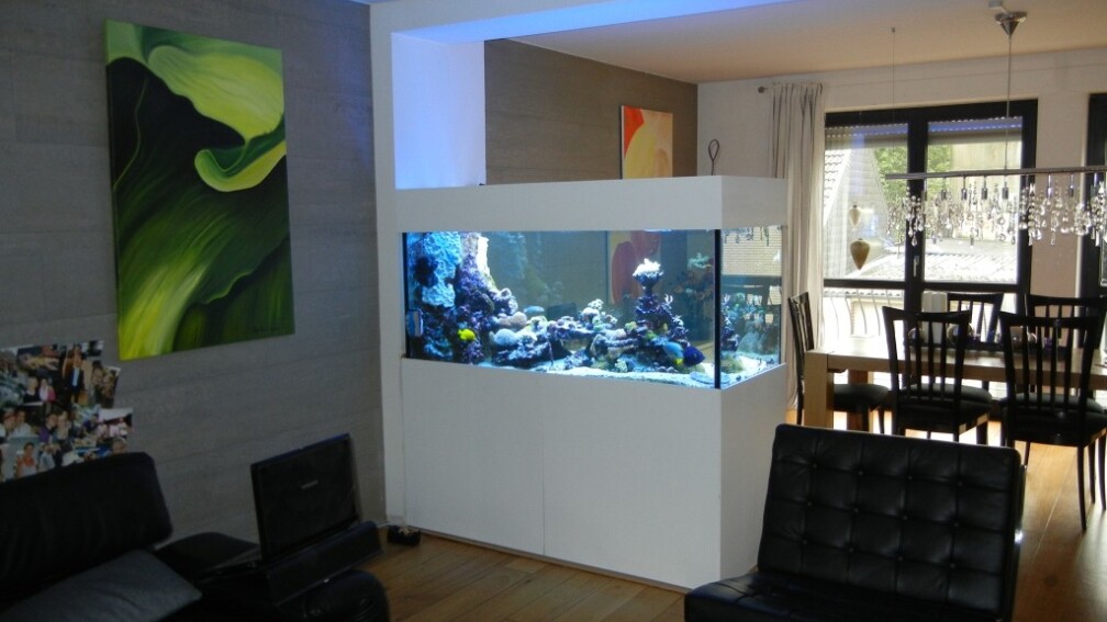 Aquarium Hauptansicht von 800l