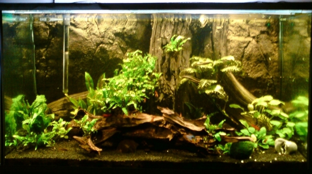 Aquarium Hauptansicht von Alles meins