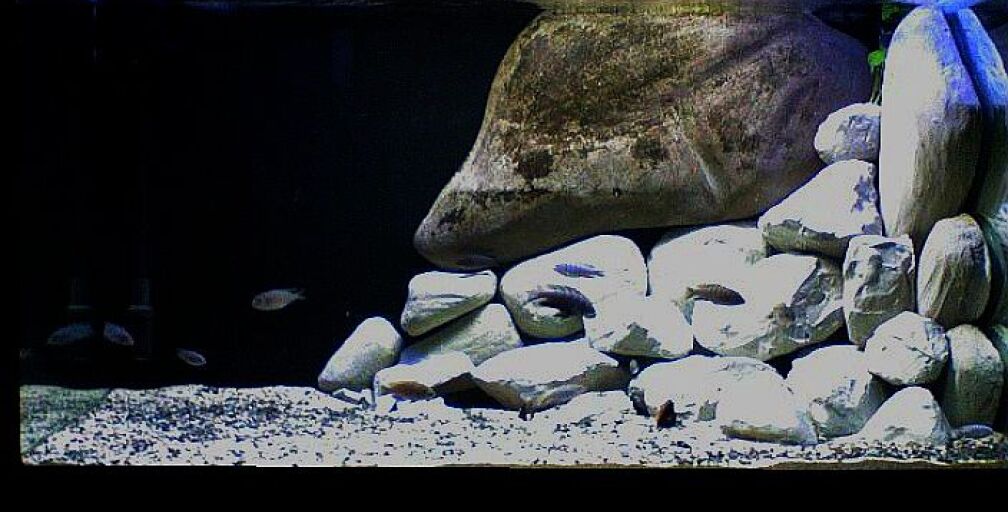 Becken mit neuen Modulen 21.05.2011