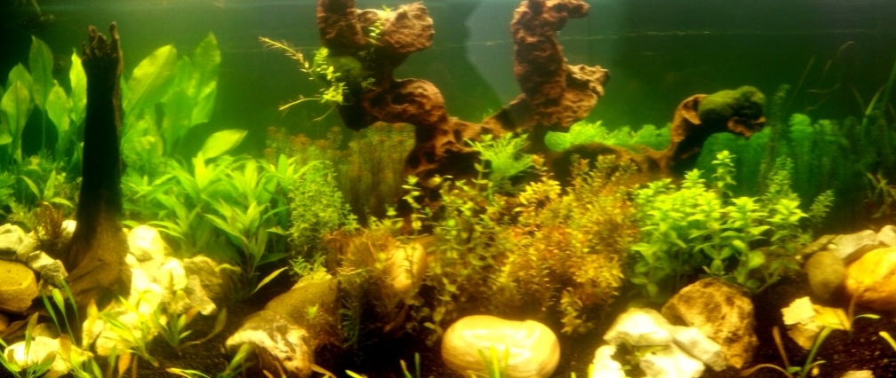 Aquarium Hauptansicht von Panorama