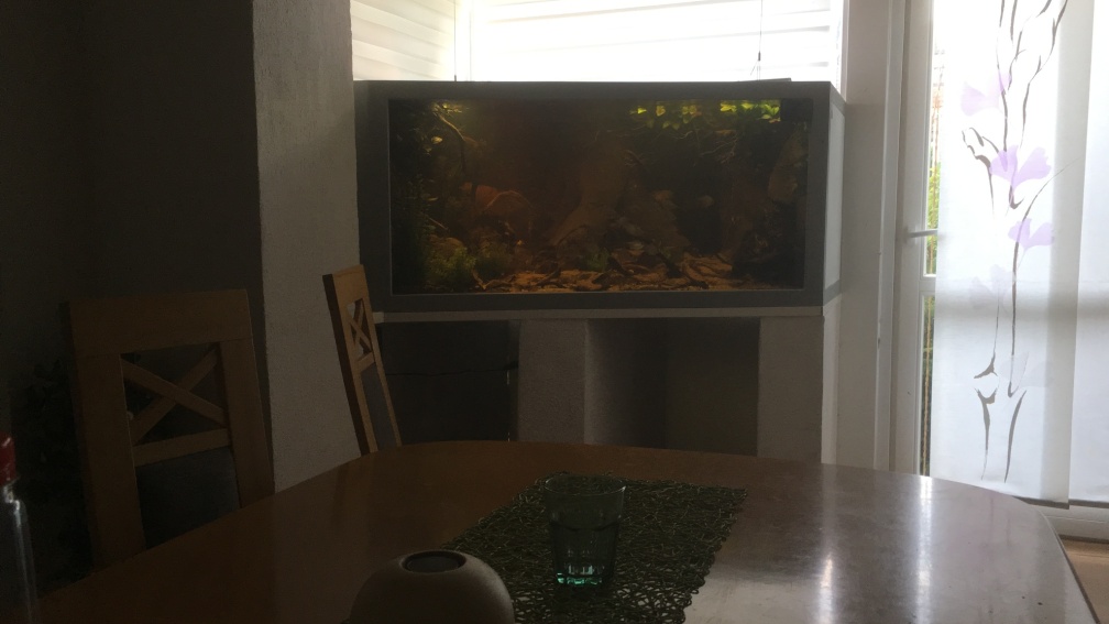 Aquarium Hauptansicht von Salmerbecken