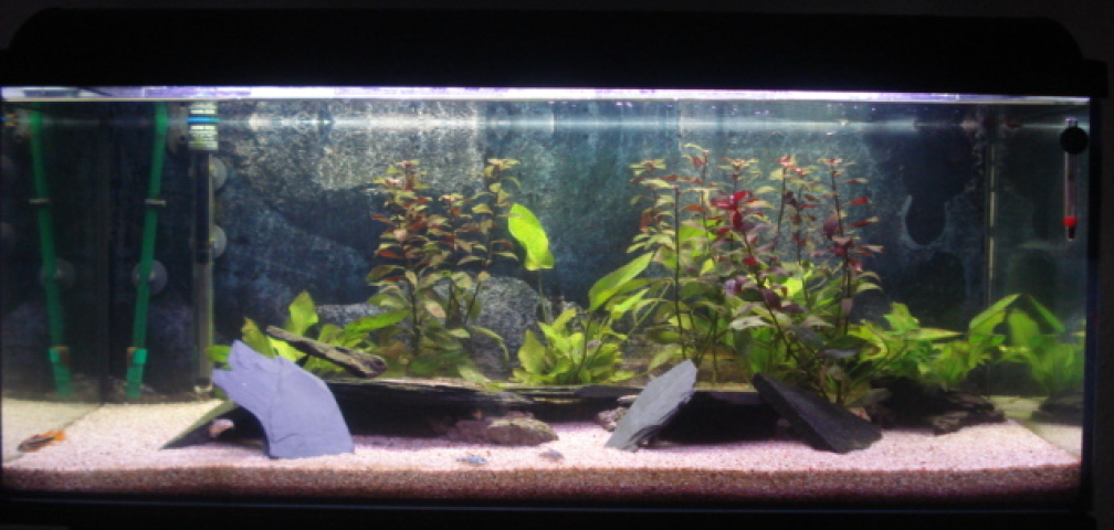 Mein Becken