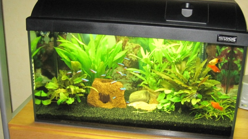 Mein Aufgelöstes 60er