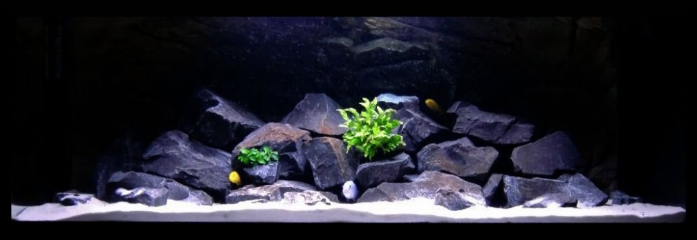 `RIO` Malawi (14.05.2011)