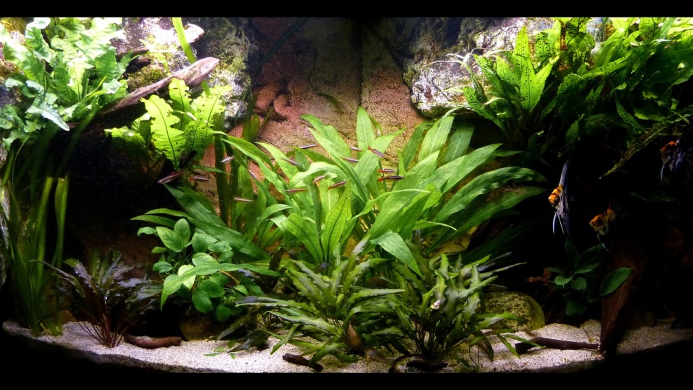 Frontalansicht August 2015