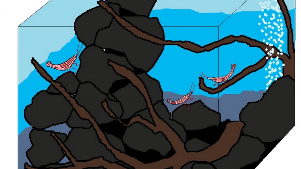 Plan meiner neuesten Missetat ;-)