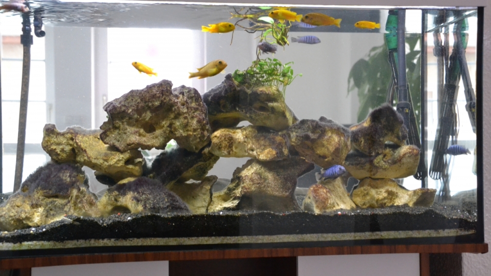 Neues Outfit. Nun notgedrungen als Raumteiler.