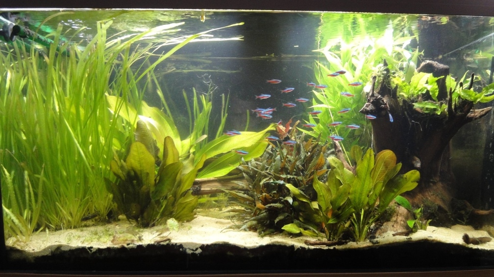 02.07.15 vorläufiges Bild (bessere folgen)^^