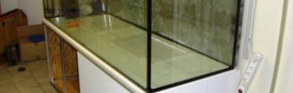 Aquarium Hauptansicht von mein traum Aquarium Hauptansicht von mein traum