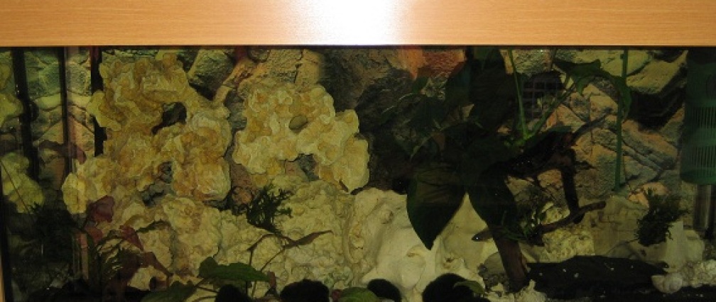Malawi 200 Liter