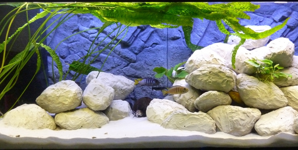 Gesamtansicht vom 30.04.2012 mit neuer Beleuchtung