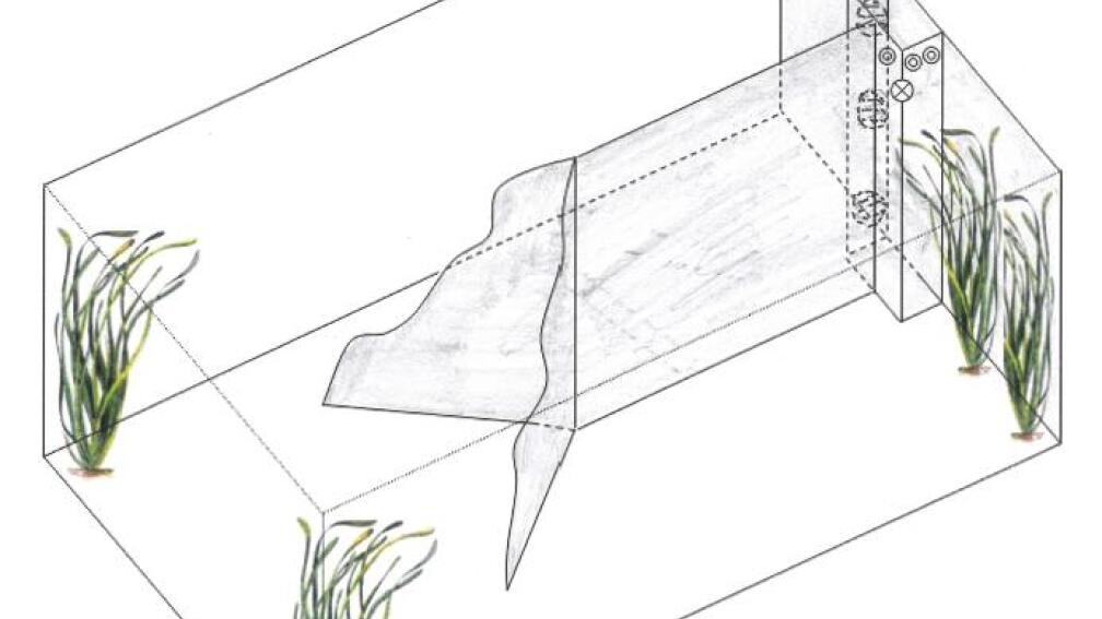 So sieht die Planung bisher aus...