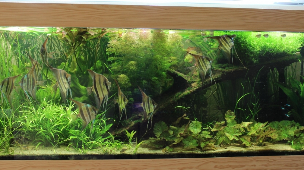 Gesamtanicht 13.07.2013