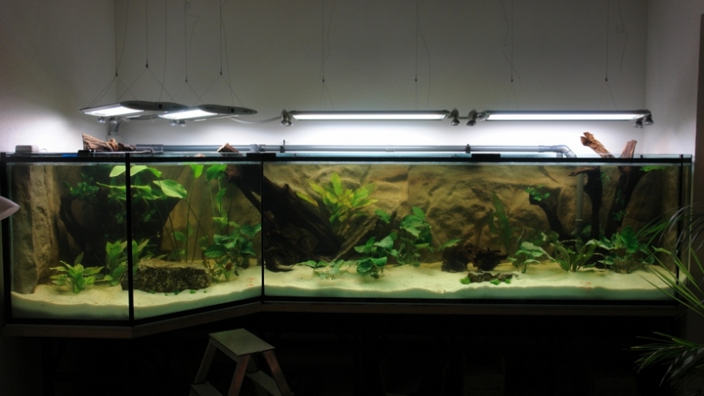Aquarium Hauptansicht von Südtirols Amazonas