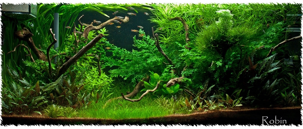 Aquarium Hauptansicht von Schauaquarium 350l