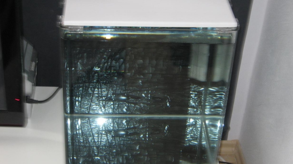 Aquarium Hauptansicht von Nano Cube 60L