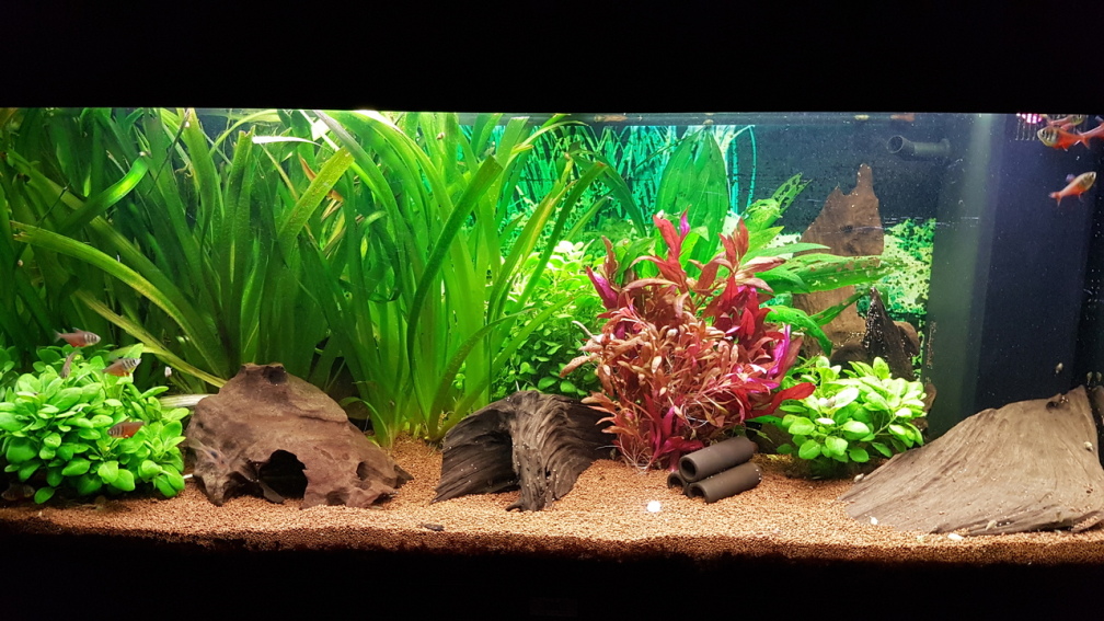 Aquarium Hauptansicht von Niedersachen